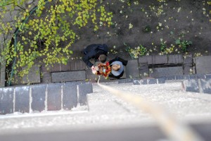 1459140_710716515620073_436641359_n